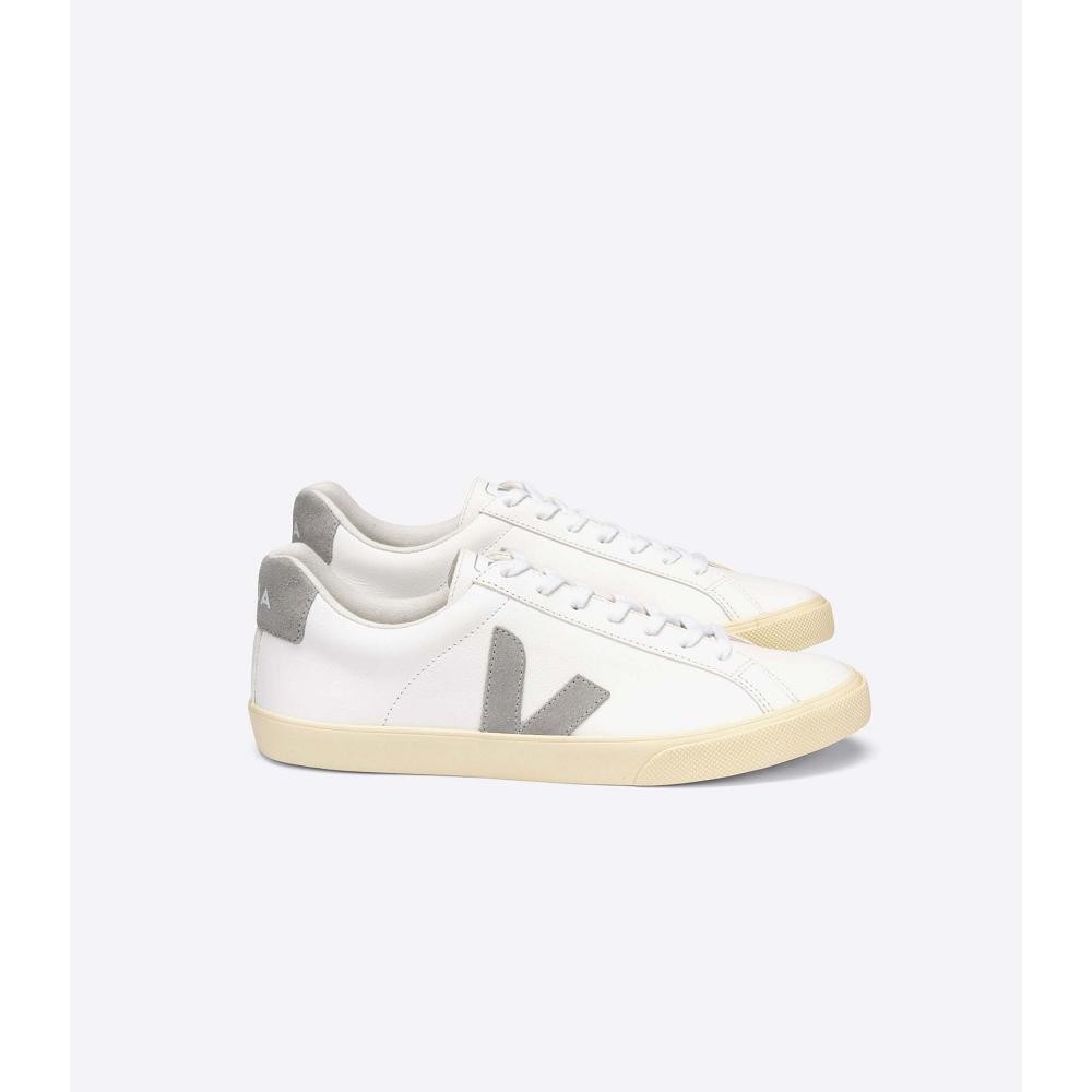 Women\'s Veja ESPLAR CHROMEFREE Sneakers White/Grey | ZA 611MQZ